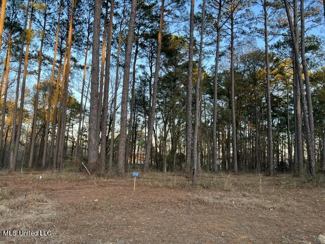 Apollo Way Lot # 47, Canton, Mississippi image 17