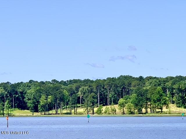 Apollo Way Lot # 47, Canton, Mississippi image 21