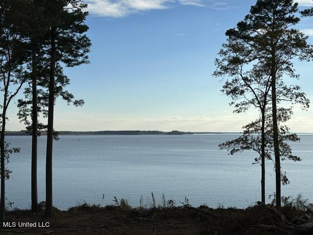 Apollo Way Lot # 47, Canton, Mississippi image 10