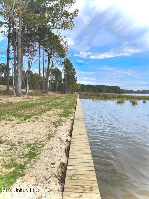 Apollo Way Lot # 47, Canton, Mississippi image 19