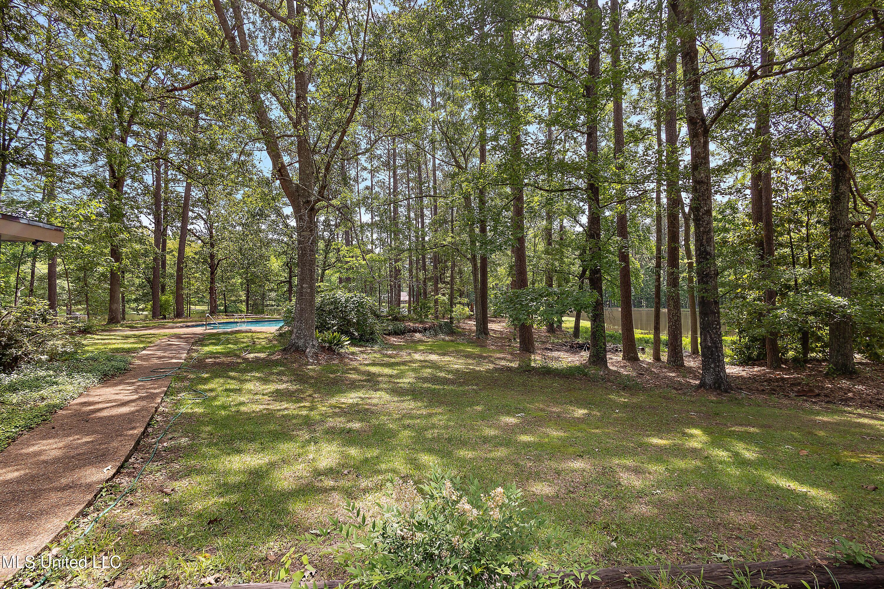 406 Springwood Circle, Terry, Mississippi image 16