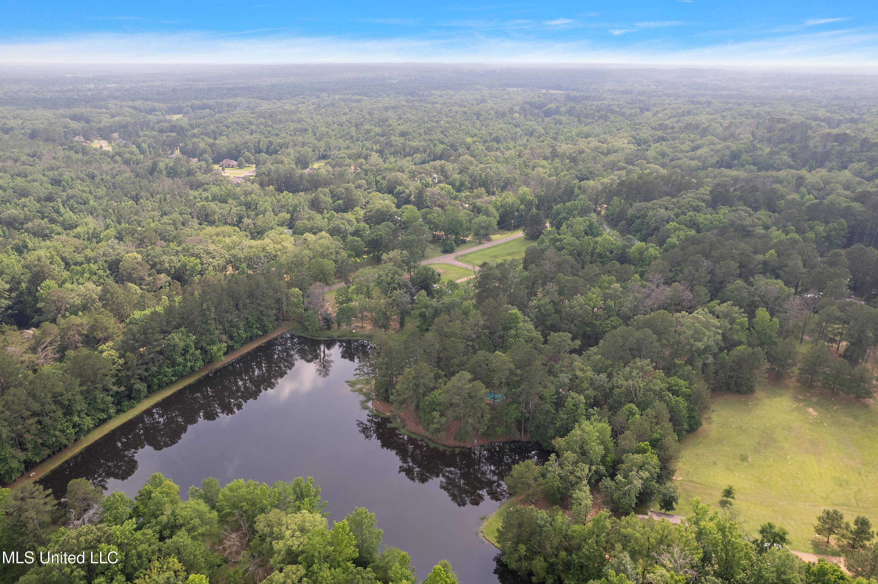 406 Springwood Circle, Terry, Mississippi image 19