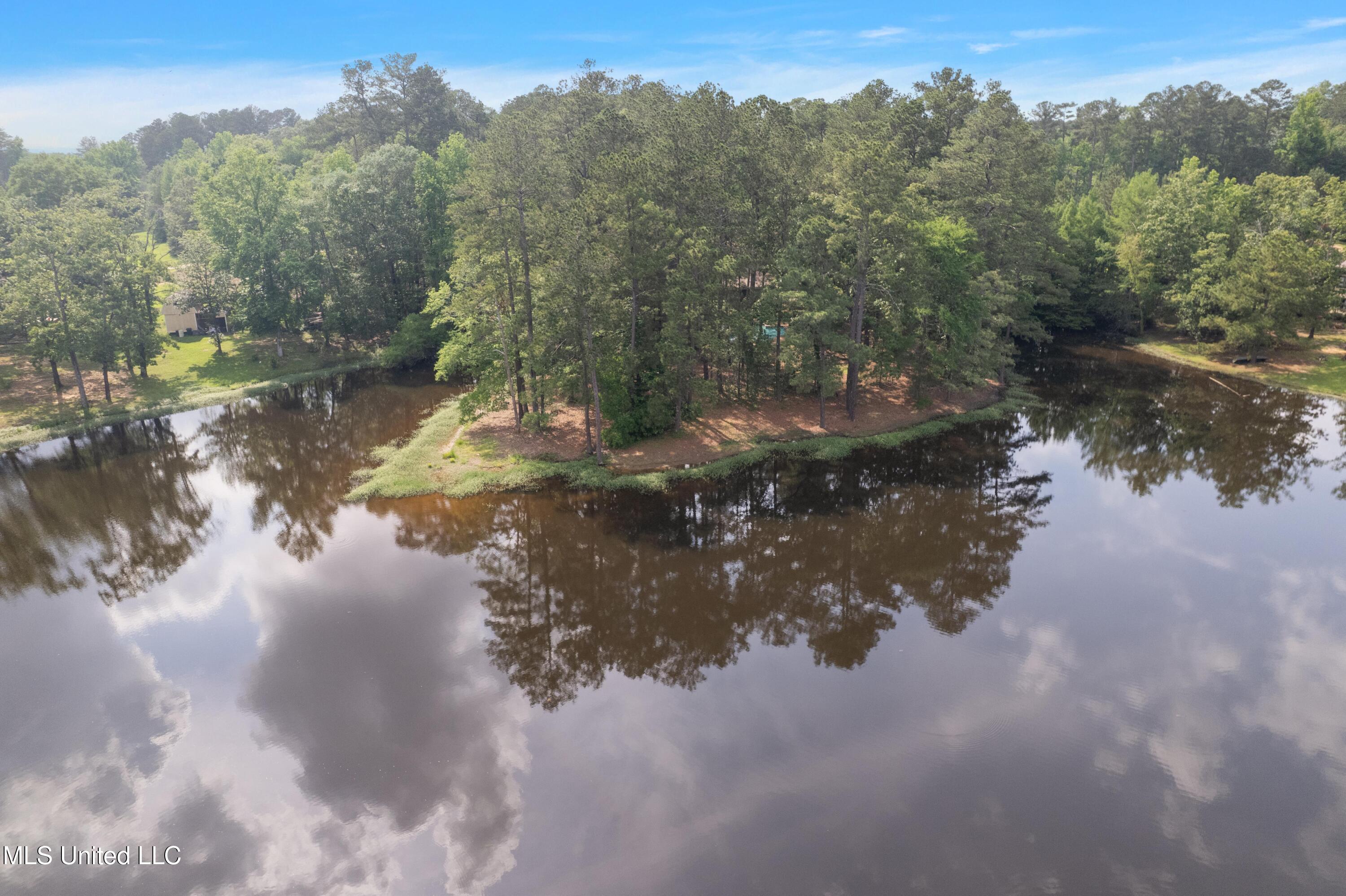 406 Springwood Circle, Terry, Mississippi image 21