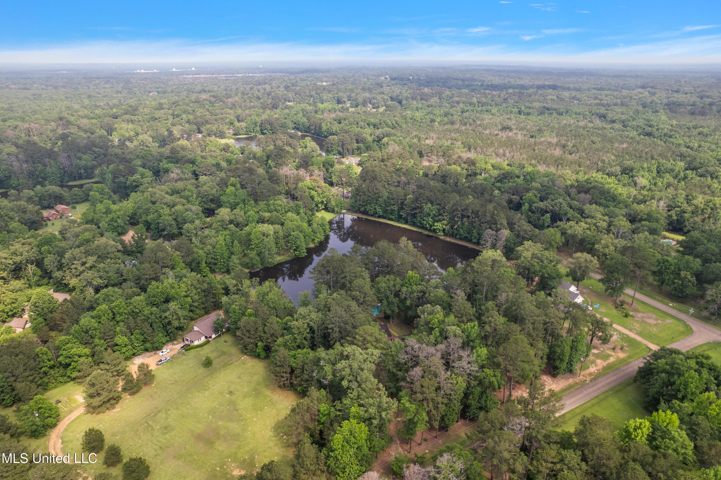 406 Springwood Circle, Terry, Mississippi image 18