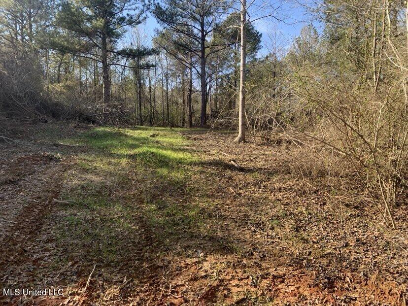 0000 Dry Creek Road, Mendenhall, Mississippi image 9