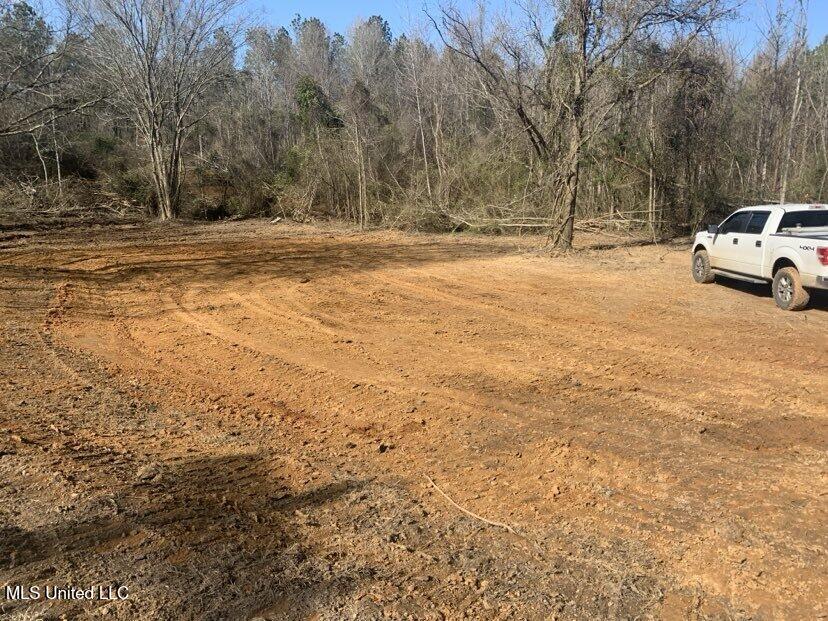 0000 Dry Creek Road, Mendenhall, Mississippi image 1