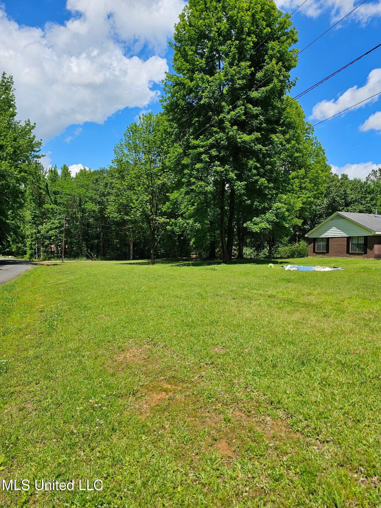 550 Senatobia Drive, Senatobia, Mississippi image 3