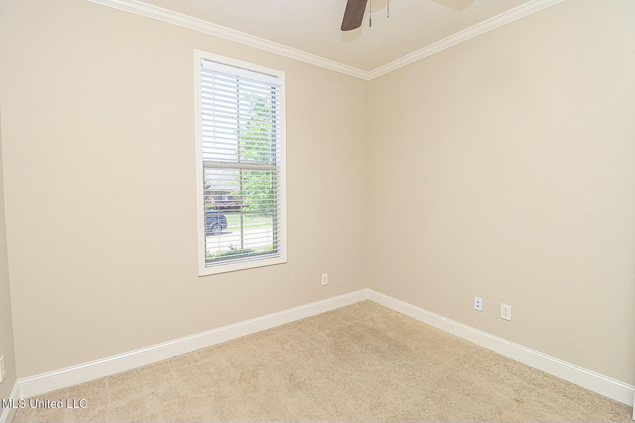 175 Memory Lane, Madison, Mississippi image 34
