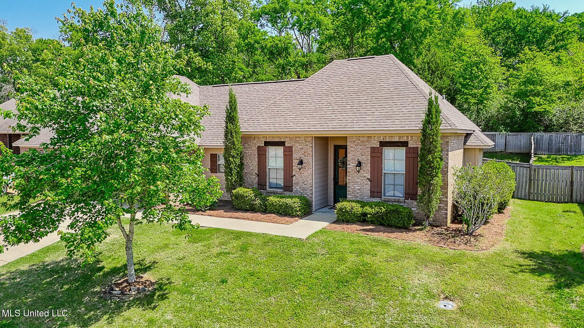 175 Memory Lane, Madison, Mississippi image 3