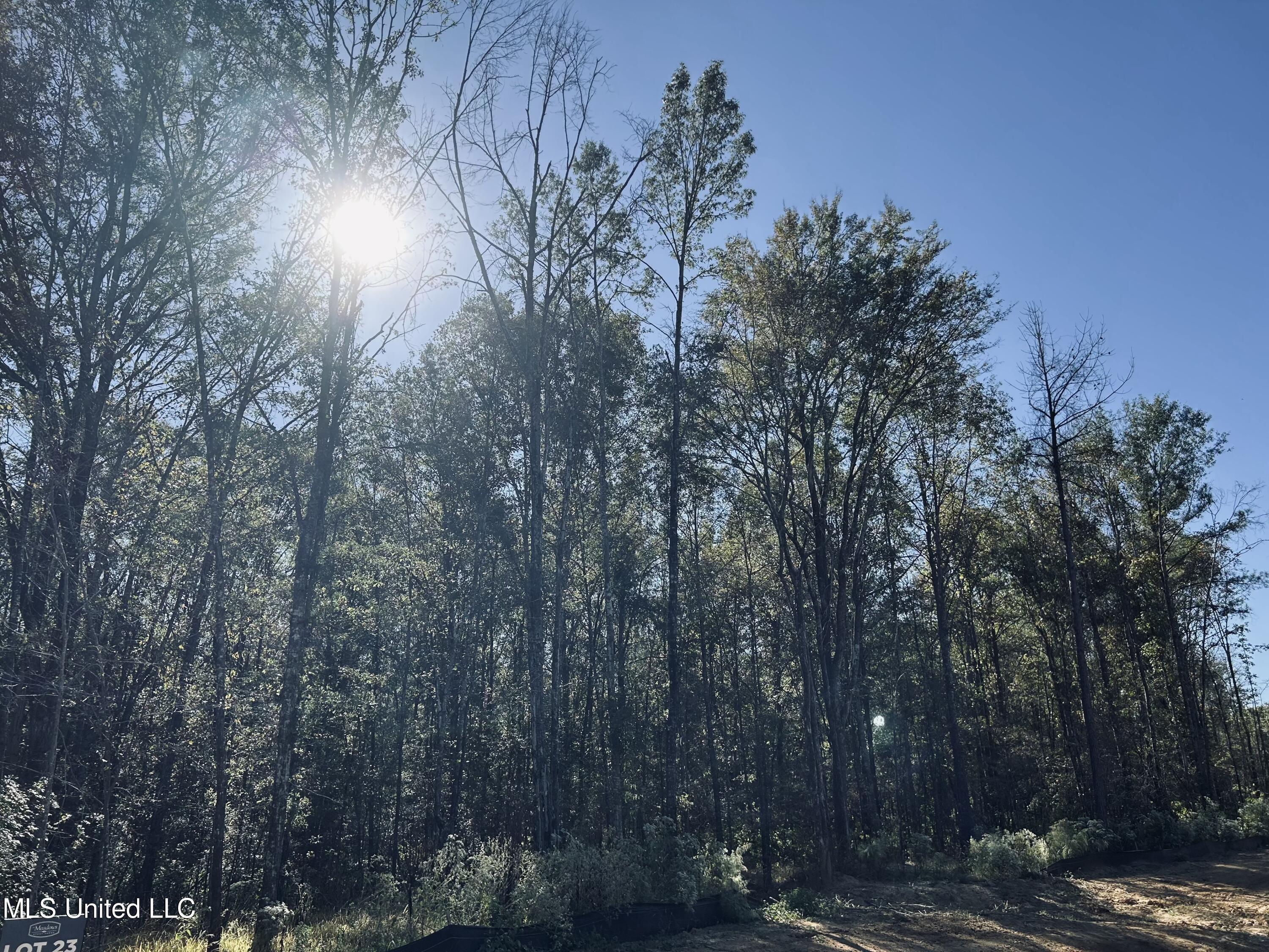 Lot 23 Stout Meadows Lane, Madison, Mississippi image 8