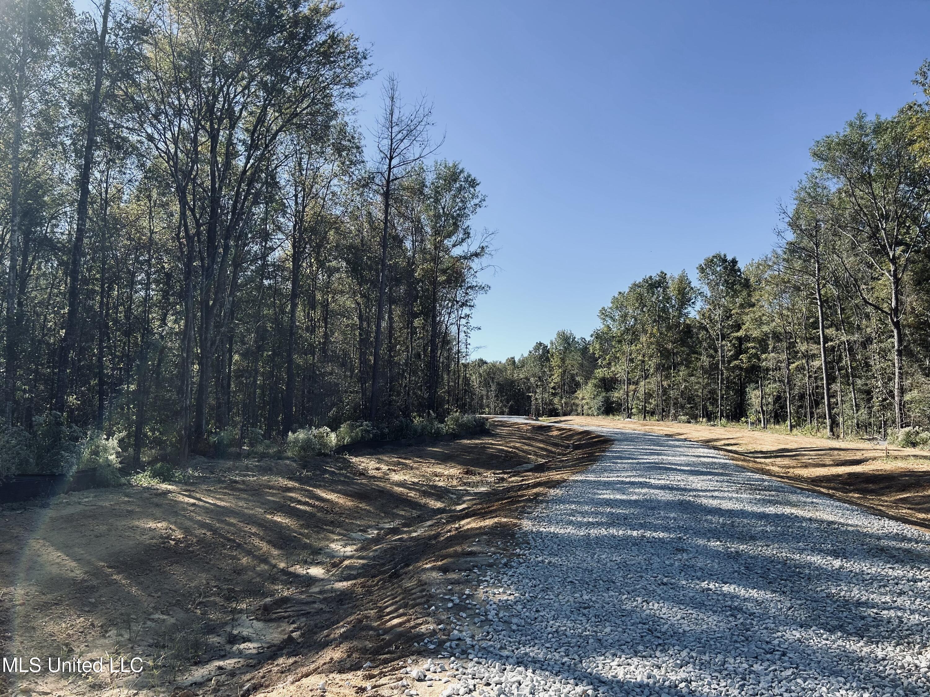 Lot 23 Stout Meadows Lane, Madison, Mississippi image 7