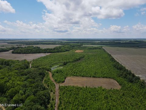 Vacant Land For Sale - Brahan Road<br/> Quitman County, Sledge, MS 38670