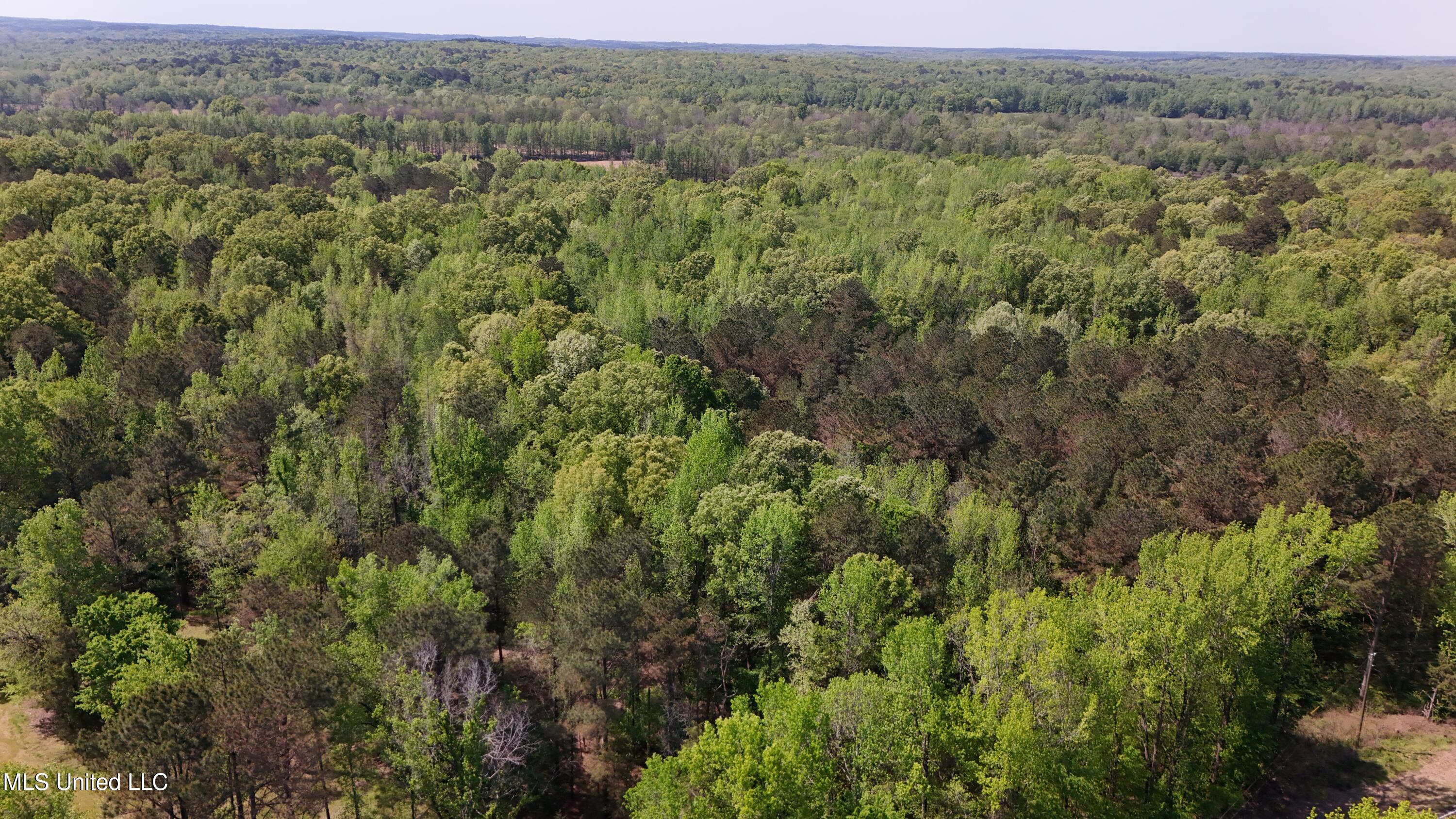 22386 Ms Highway 32, Oakland, Mississippi image 48