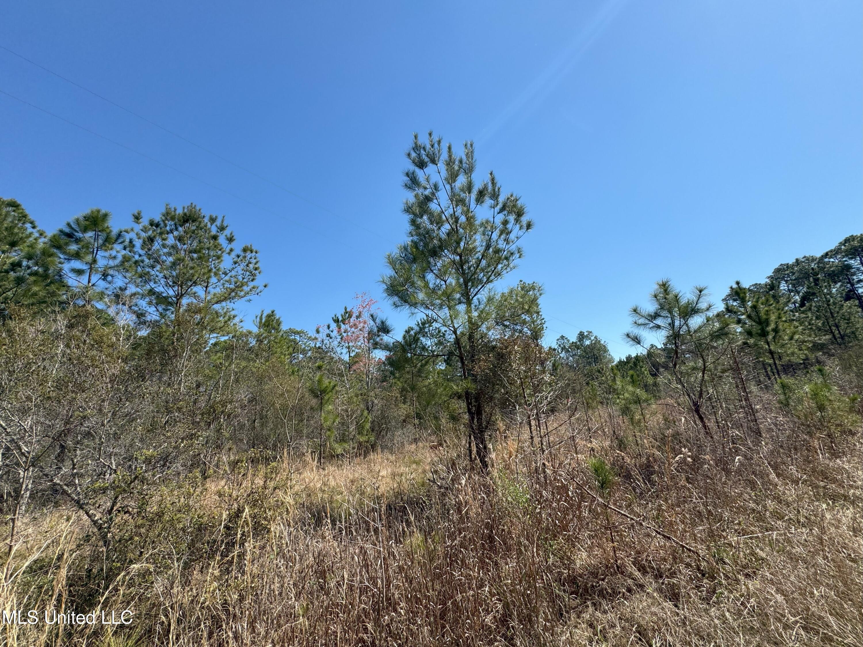 9199 Harbor Drive, Bay Saint Louis, Mississippi image 6