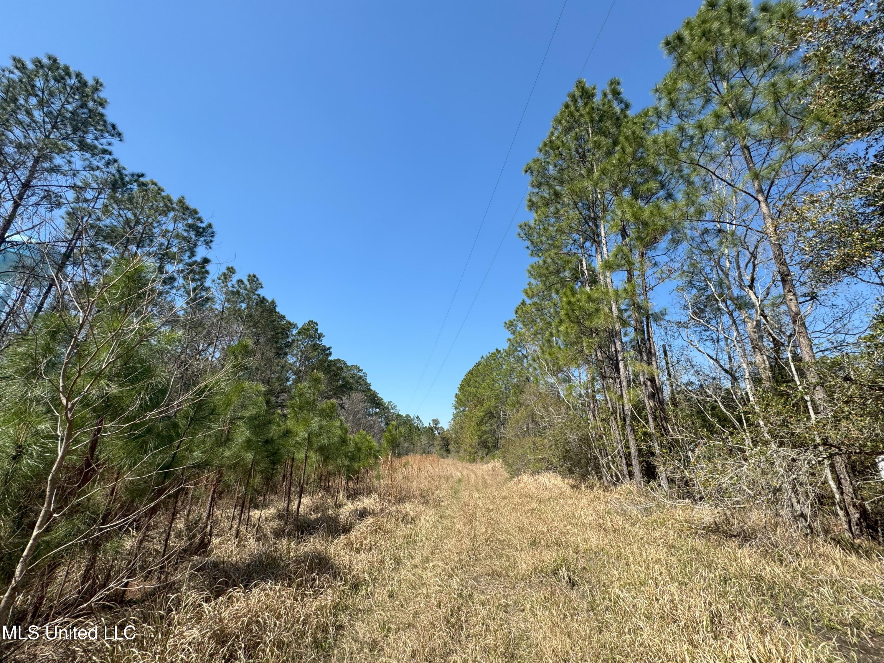 9199 Harbor Drive, Bay Saint Louis, Mississippi image 1