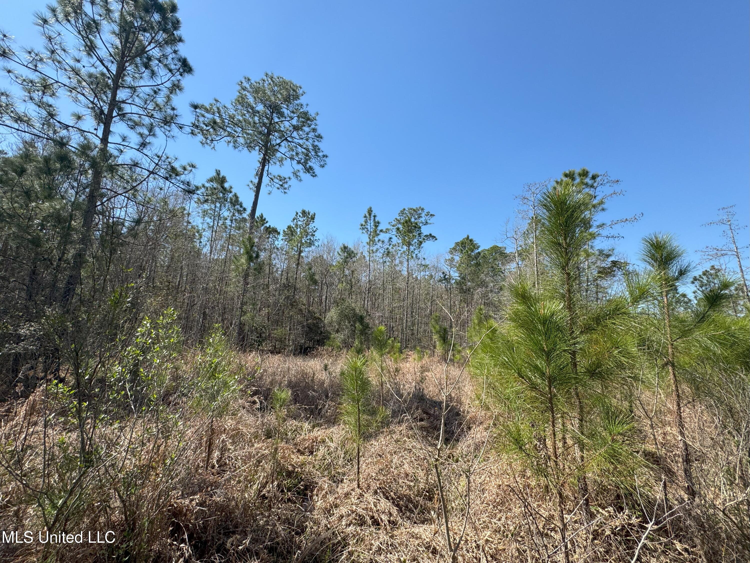 9199 Harbor Drive, Bay Saint Louis, Mississippi image 4