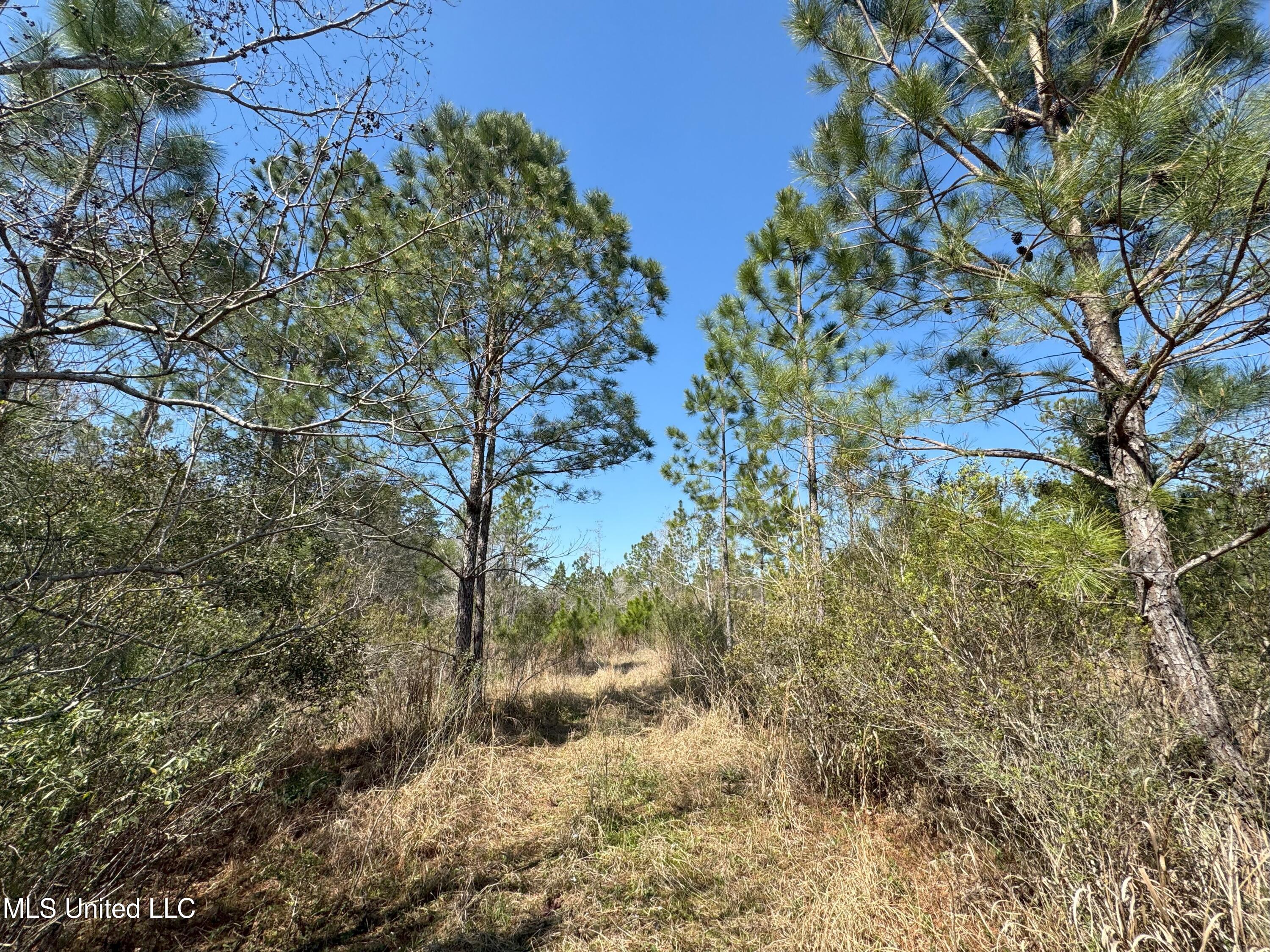 9199 Harbor Drive, Bay Saint Louis, Mississippi image 3