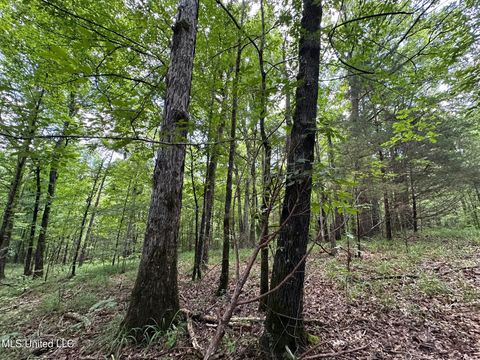 Vacant Land For Sale - 1 Rockport Road<br/> Lexington, MS 39095