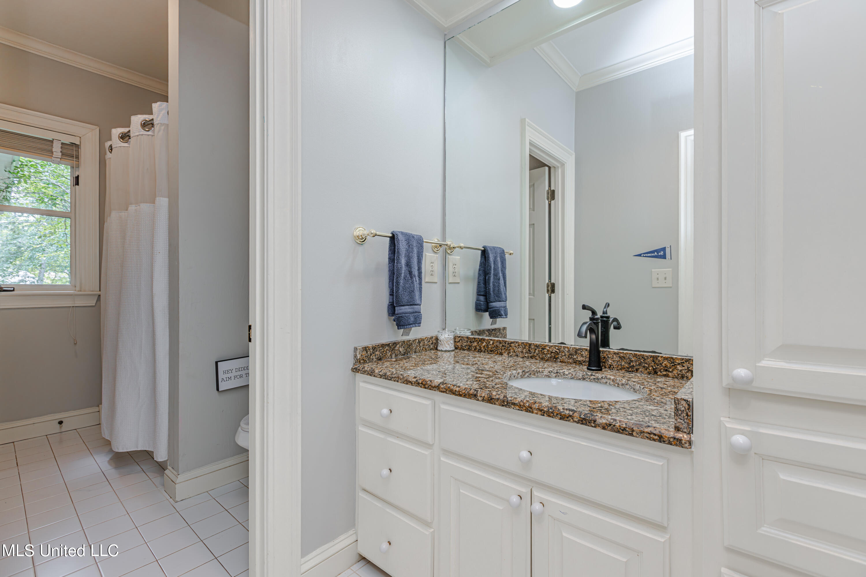 110 Windrush Drive, Flowood, Mississippi image 22