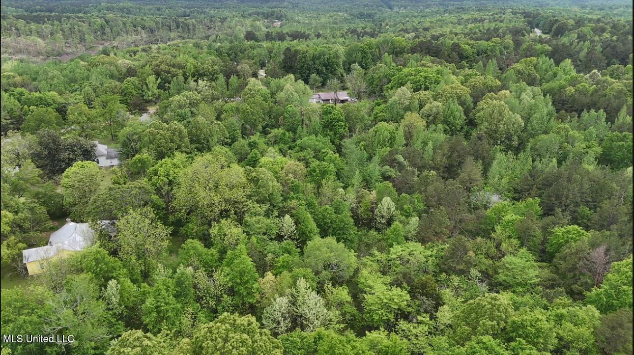 1079 Saulsbury Road, Falkner, Mississippi image 11