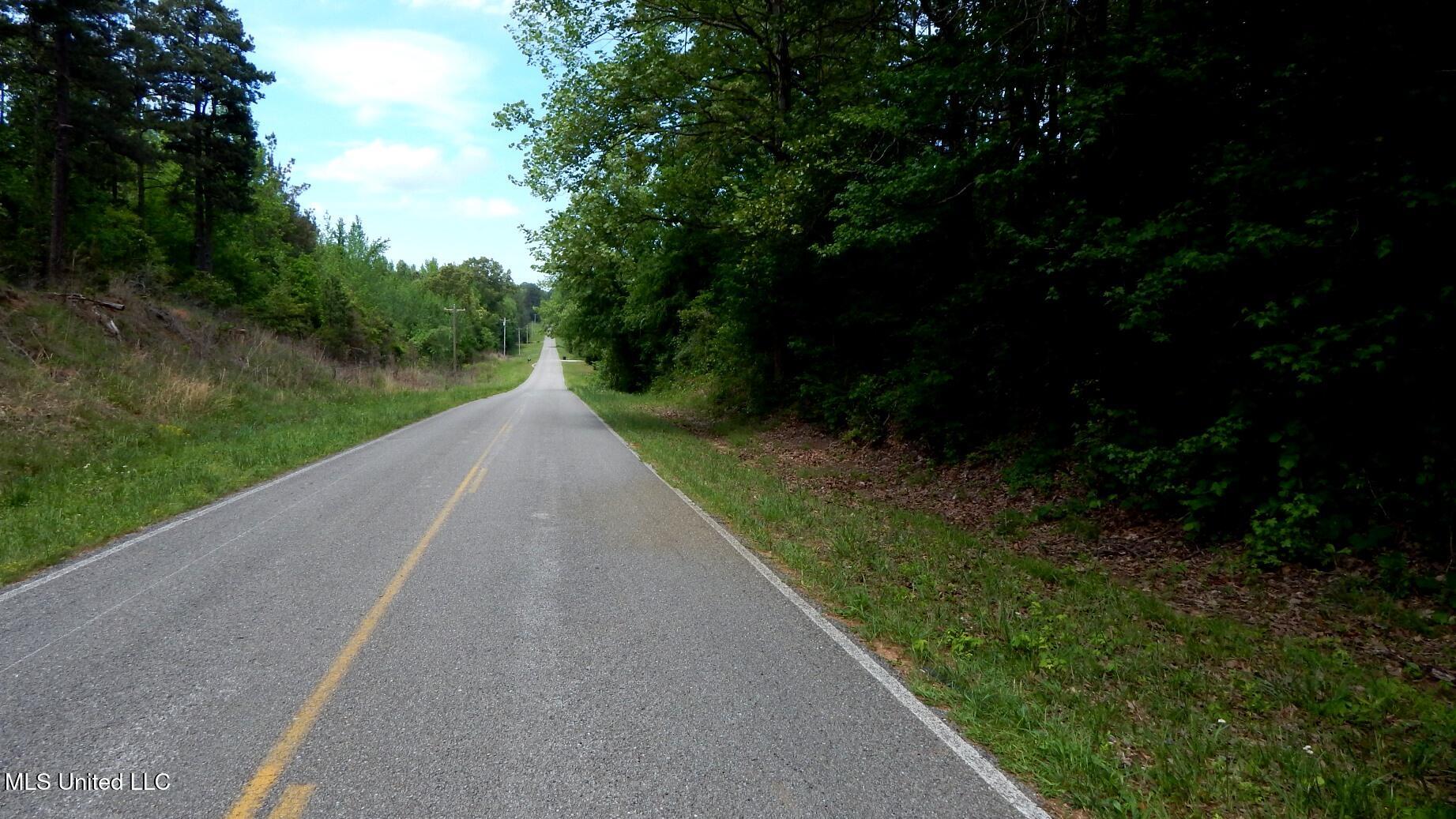 1079 Saulsbury Road, Falkner, Mississippi image 10