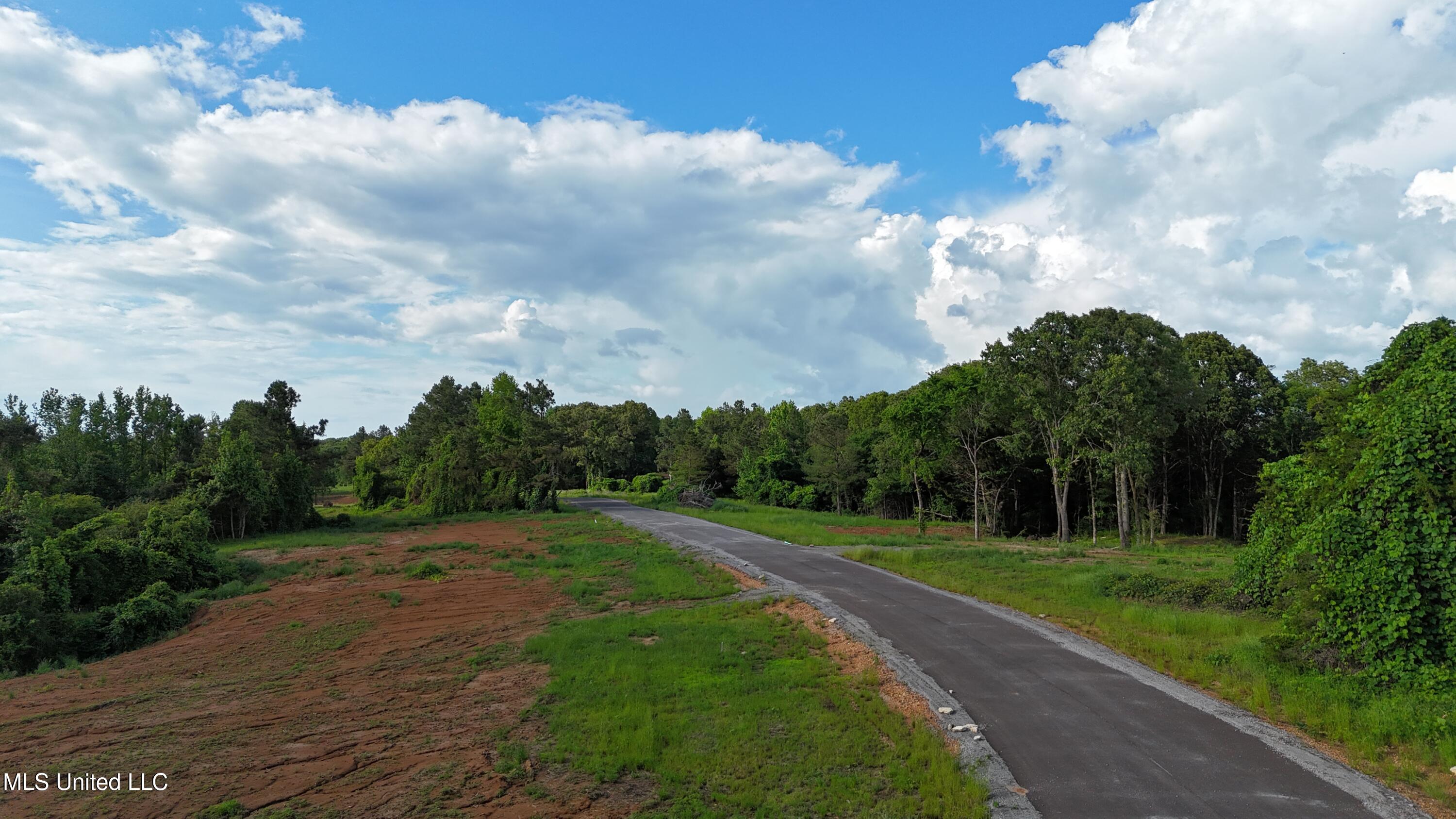 3 Tyro Branch Cove, Senatobia, Mississippi image 3