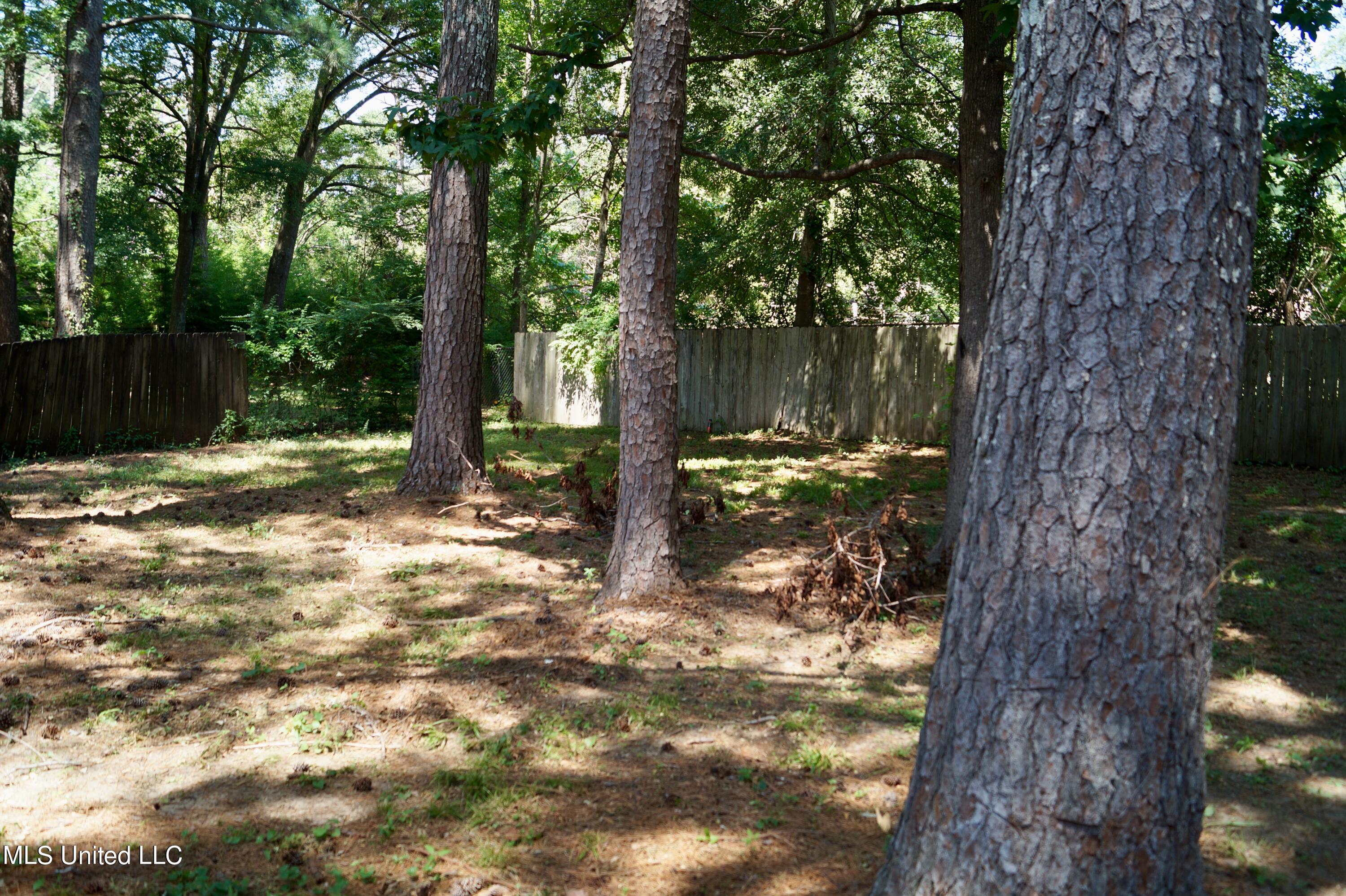 409 Turtle Creek Dr Drive, Brandon, Mississippi image 26