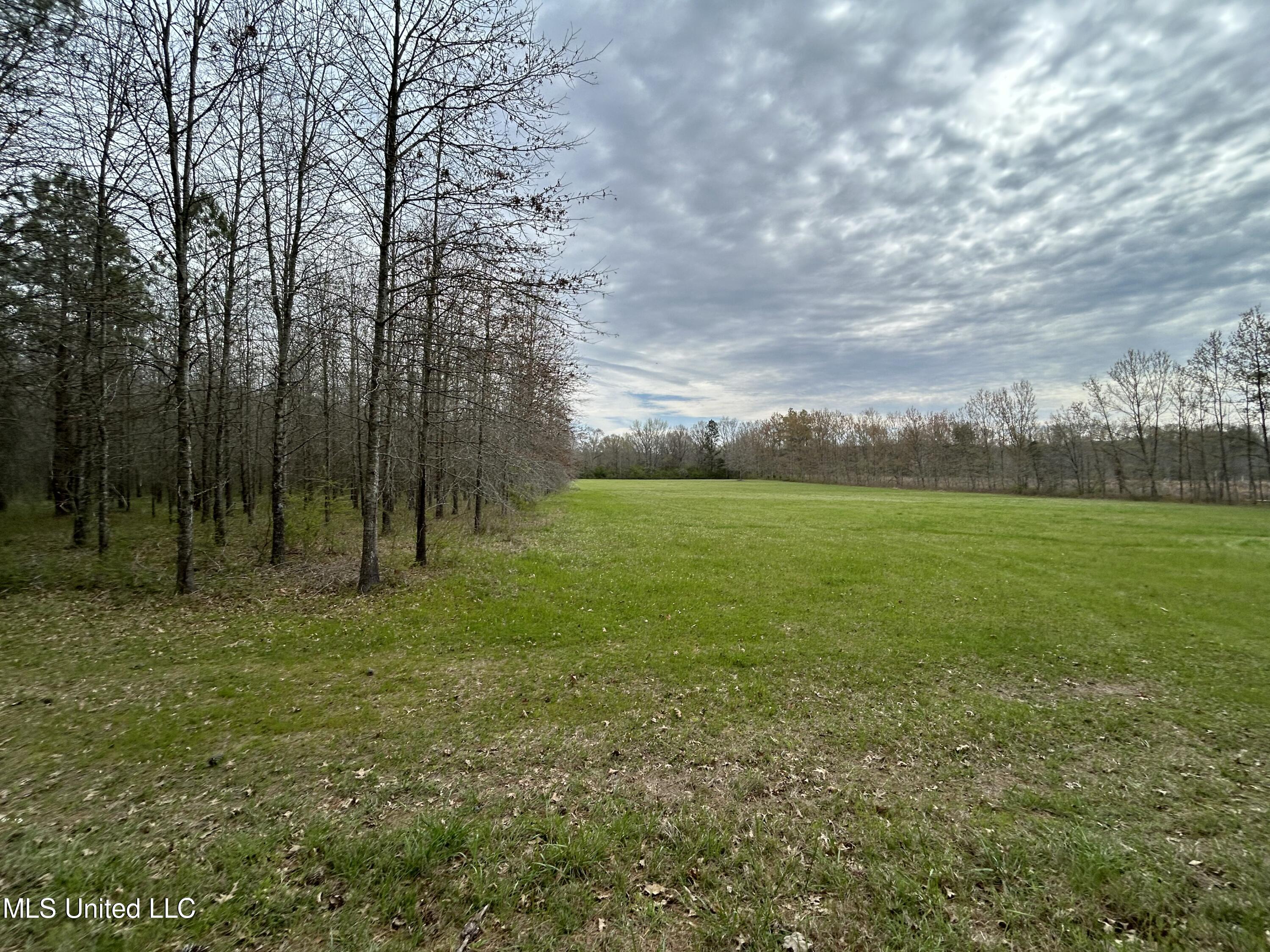 Lewis Road Road, Walnut Grove, Mississippi image 2