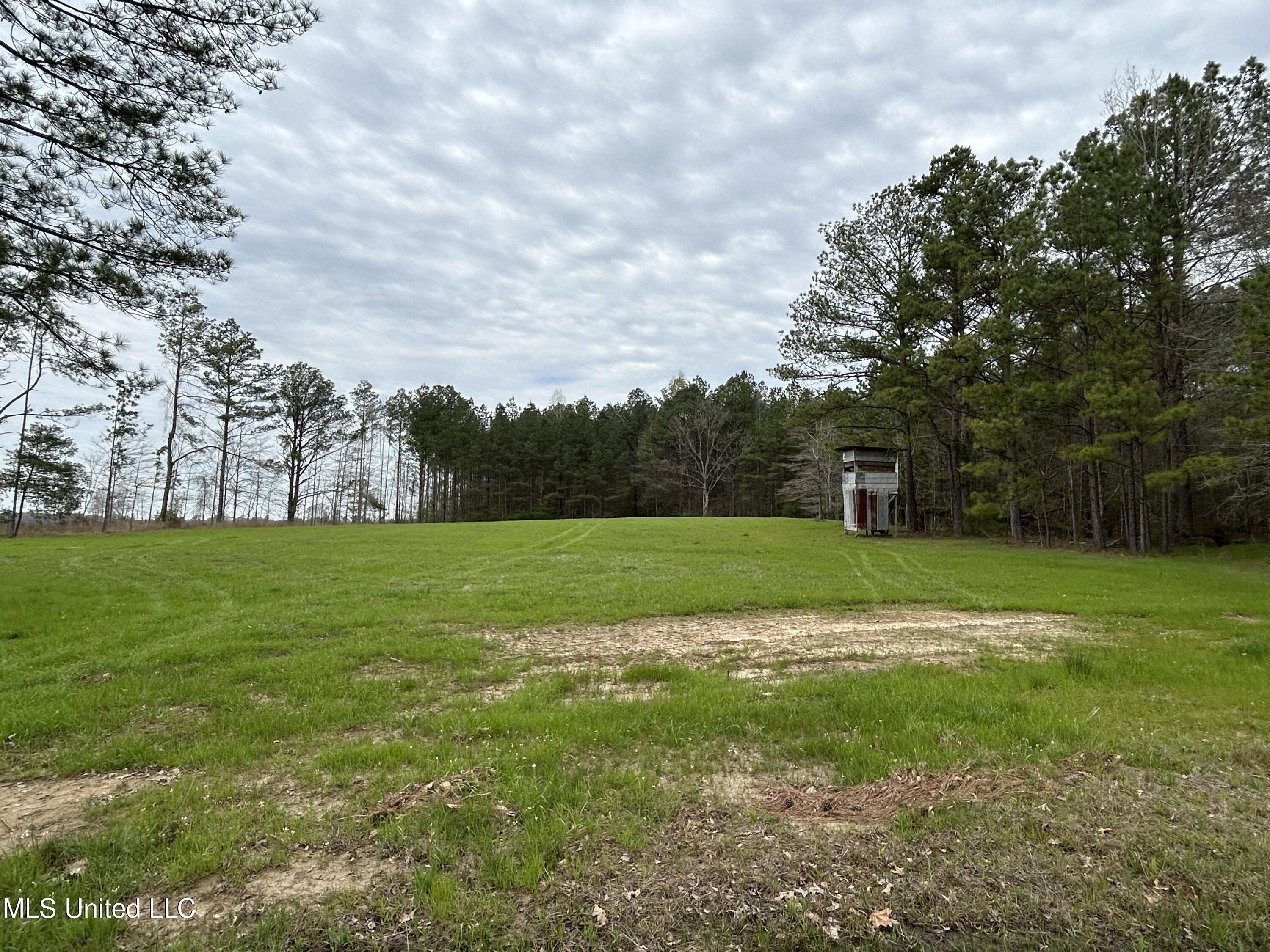 Lewis Road Road, Walnut Grove, Mississippi image 18