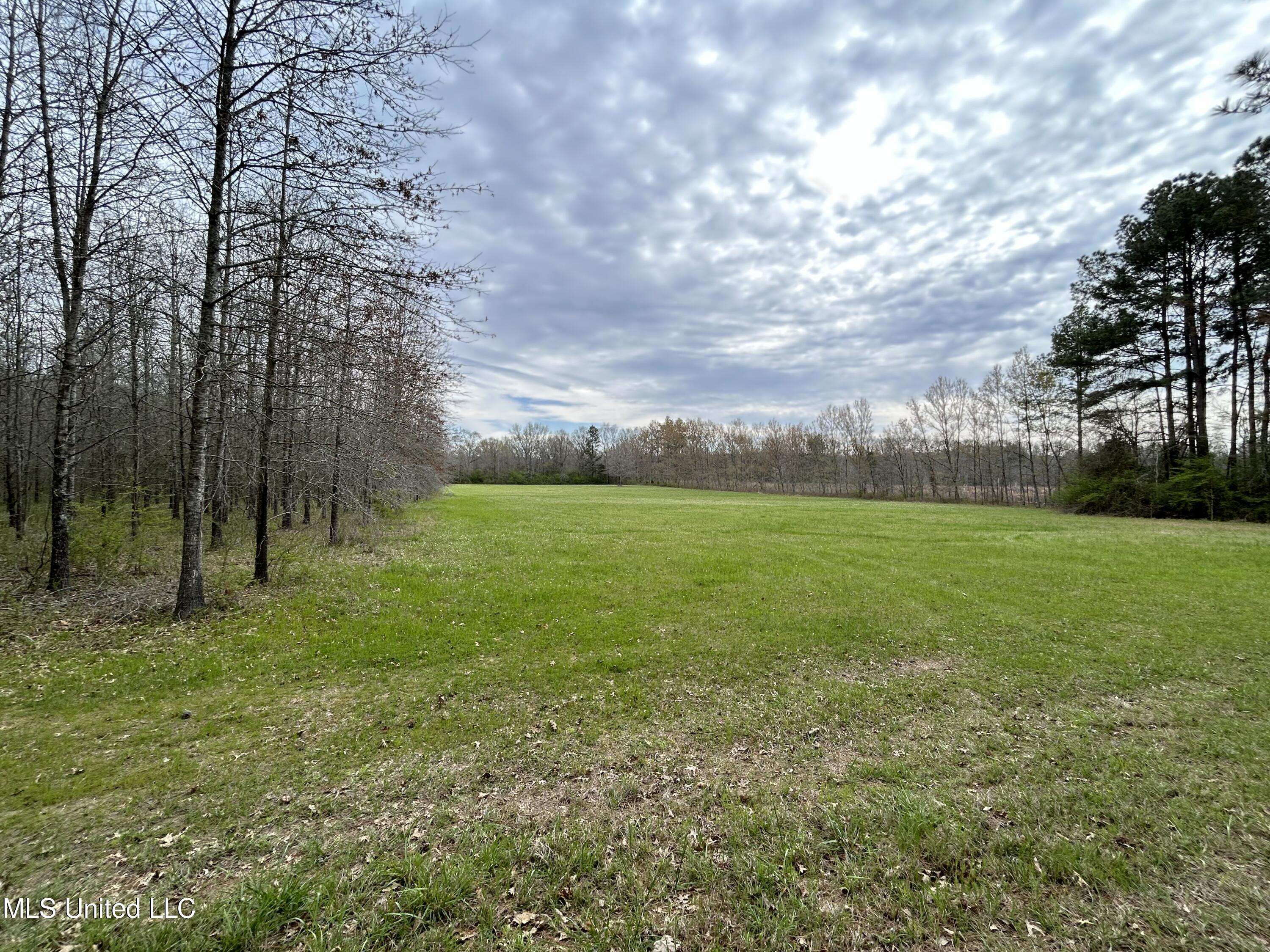 Lewis Road Road, Walnut Grove, Mississippi image 16