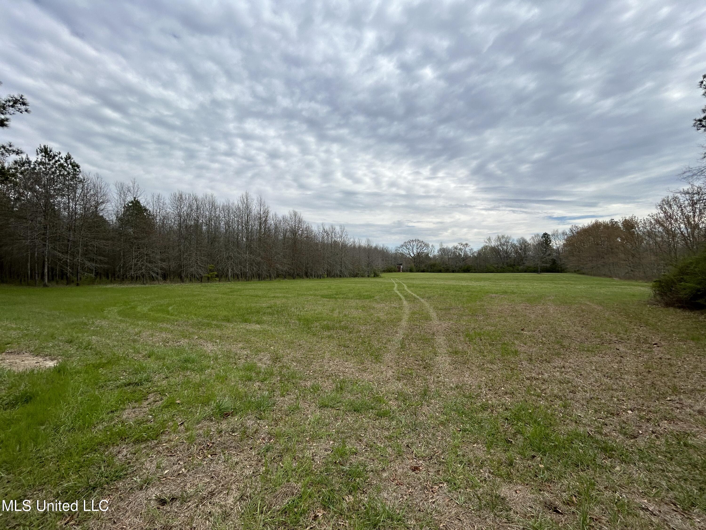 Lewis Road Road, Walnut Grove, Mississippi image 19