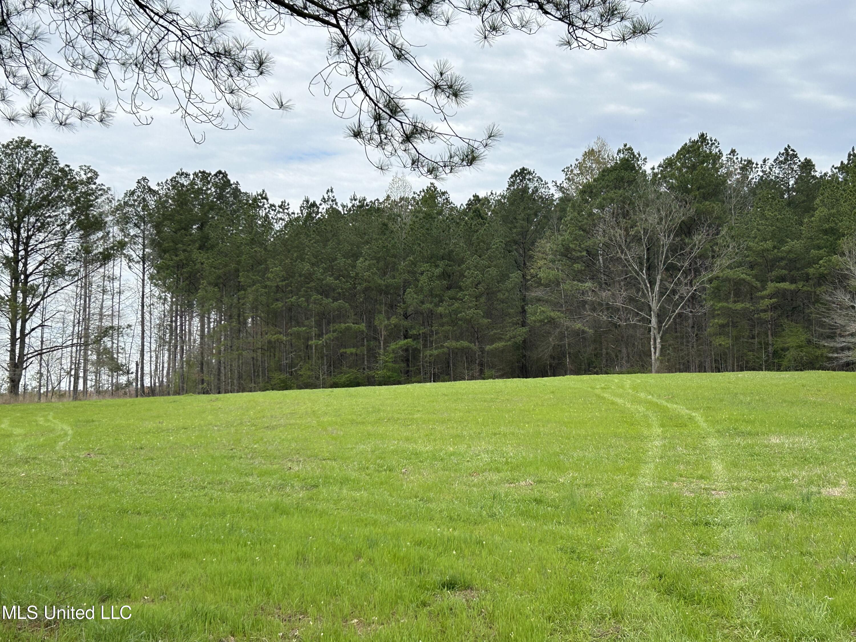 Lewis Road Road, Walnut Grove, Mississippi image 20