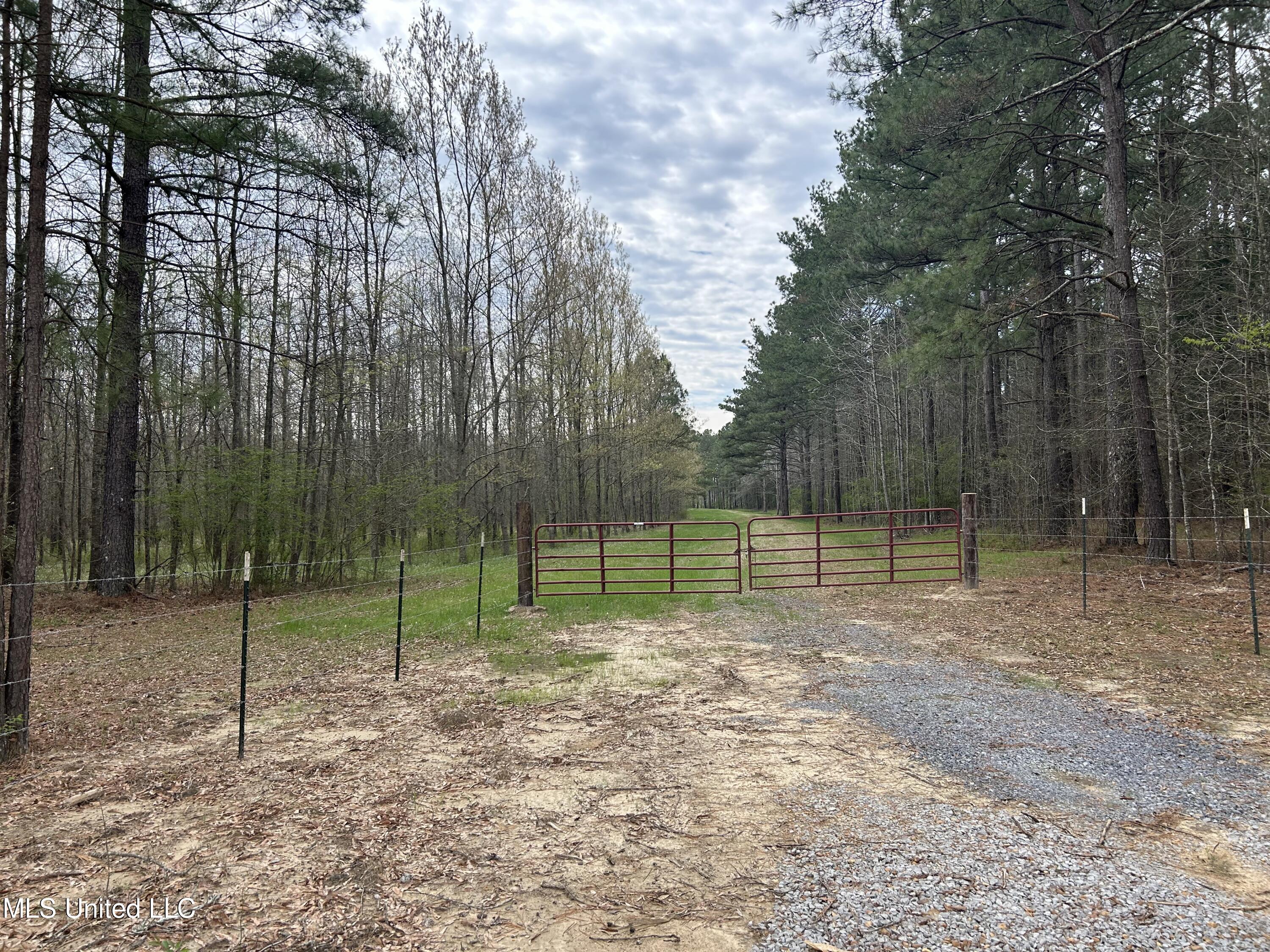 Lewis Road Road, Walnut Grove, Mississippi image 8