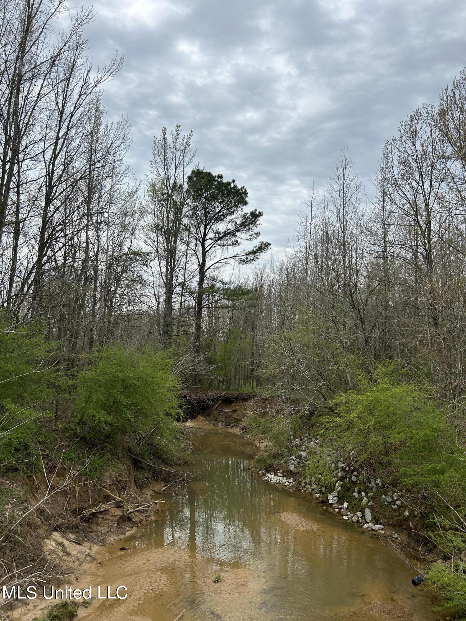 Lewis Road Road, Walnut Grove, Mississippi image 22