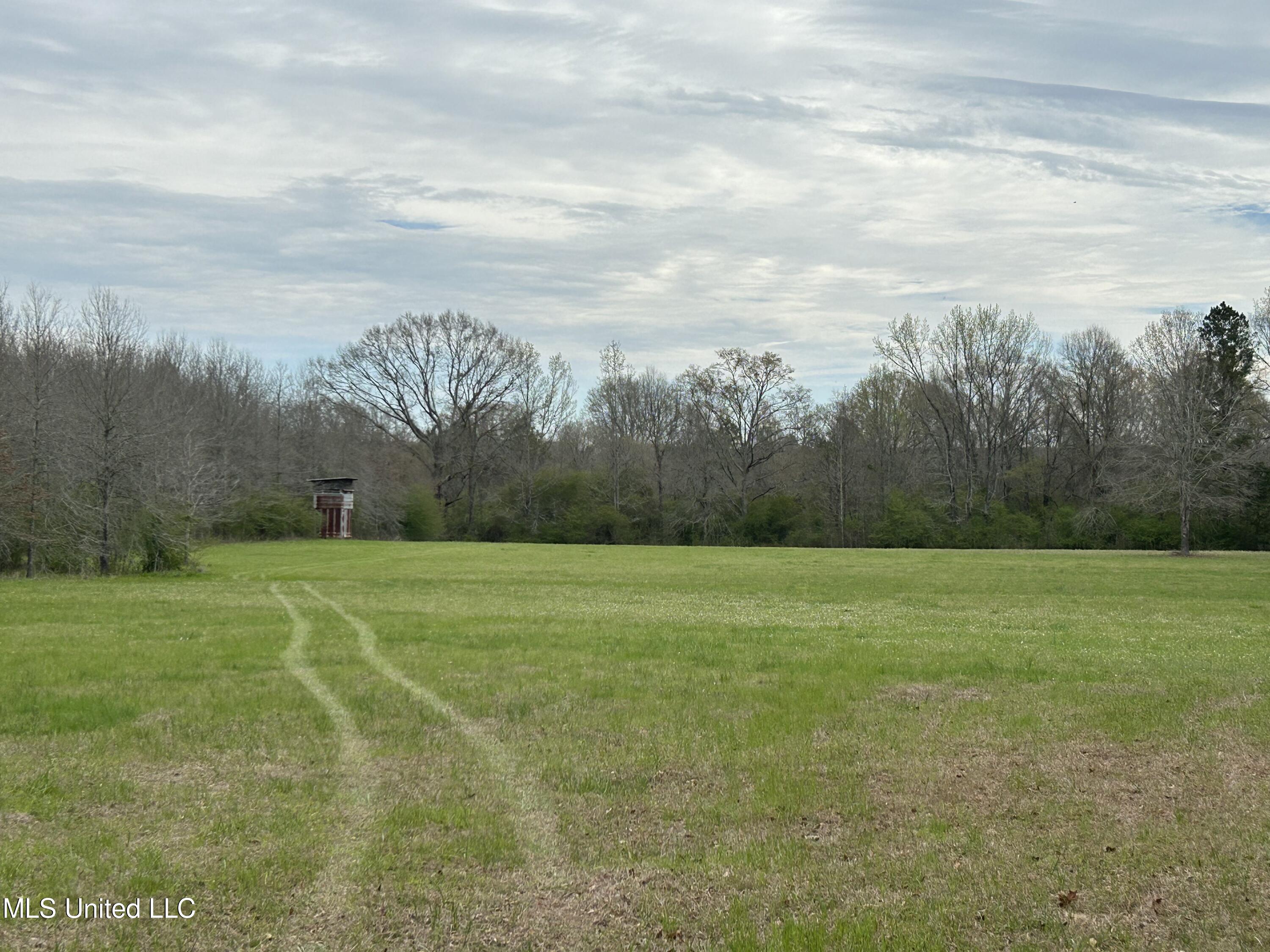 Lewis Road Road, Walnut Grove, Mississippi image 9