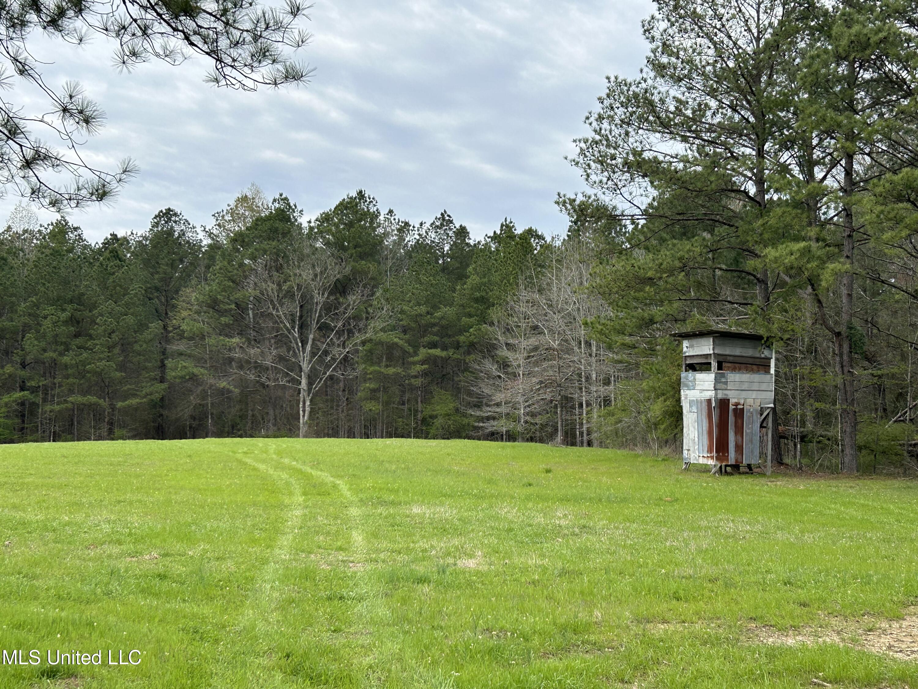 Lewis Road Road, Walnut Grove, Mississippi image 11