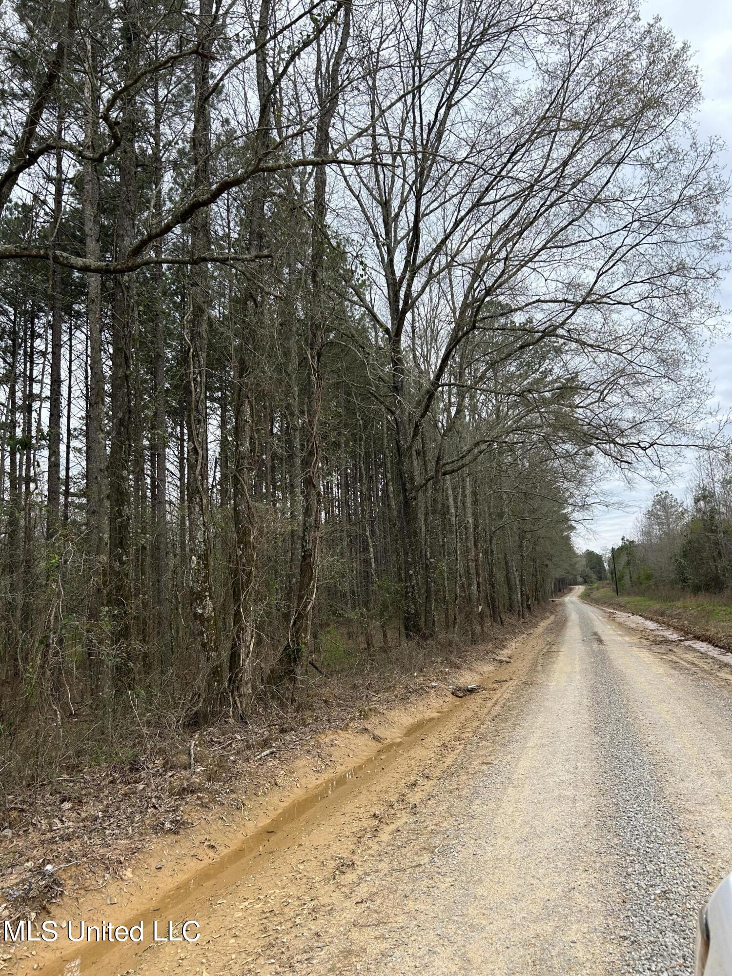 Lewis Road Road, Walnut Grove, Mississippi image 23