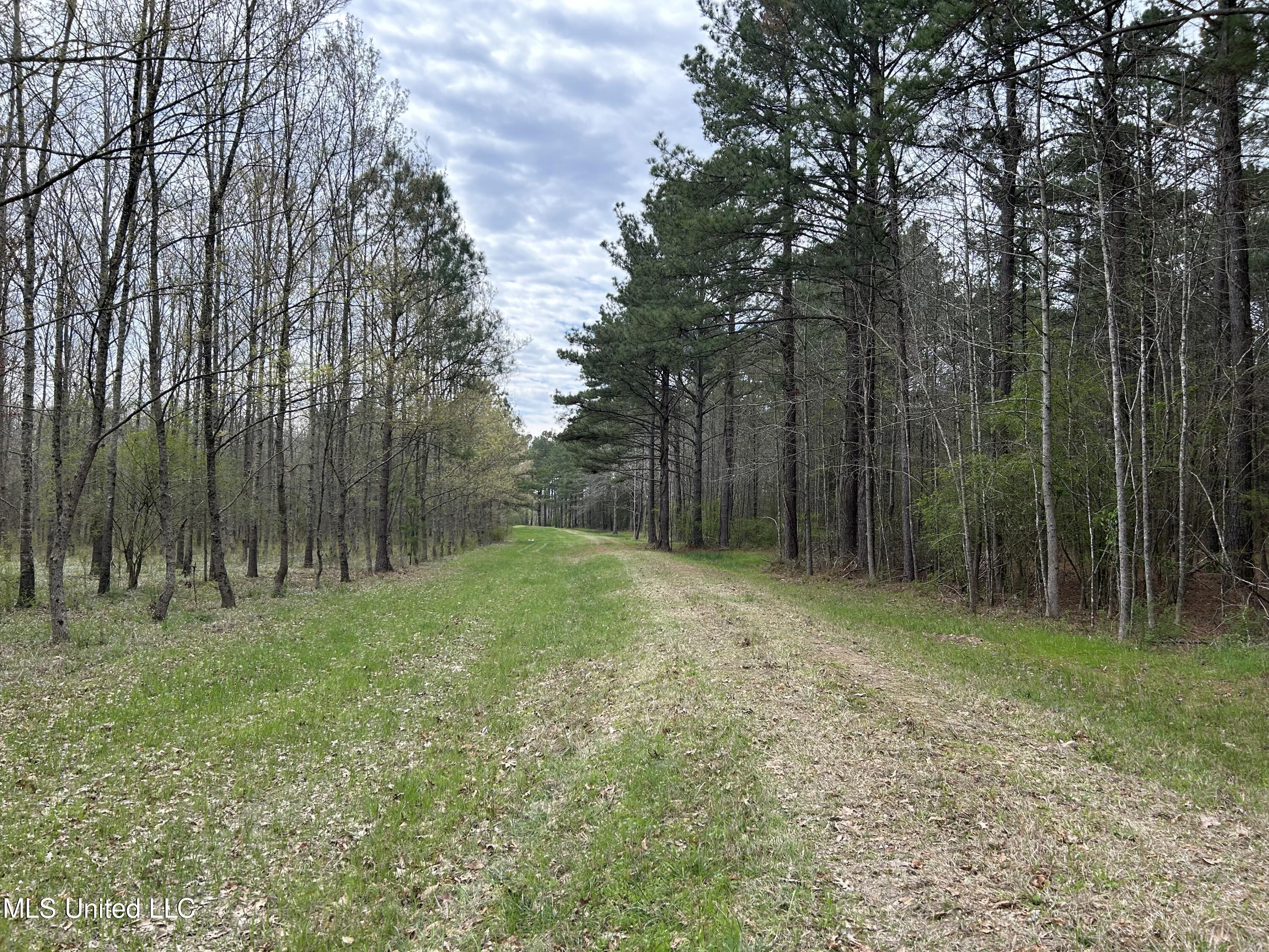 Lewis Road Road, Walnut Grove, Mississippi image 1