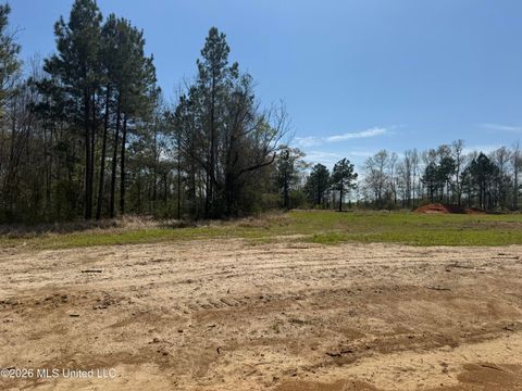 Vacant Land For Sale - LOT 8 Oakley Lane<br/> Lucedale, MS 39452
