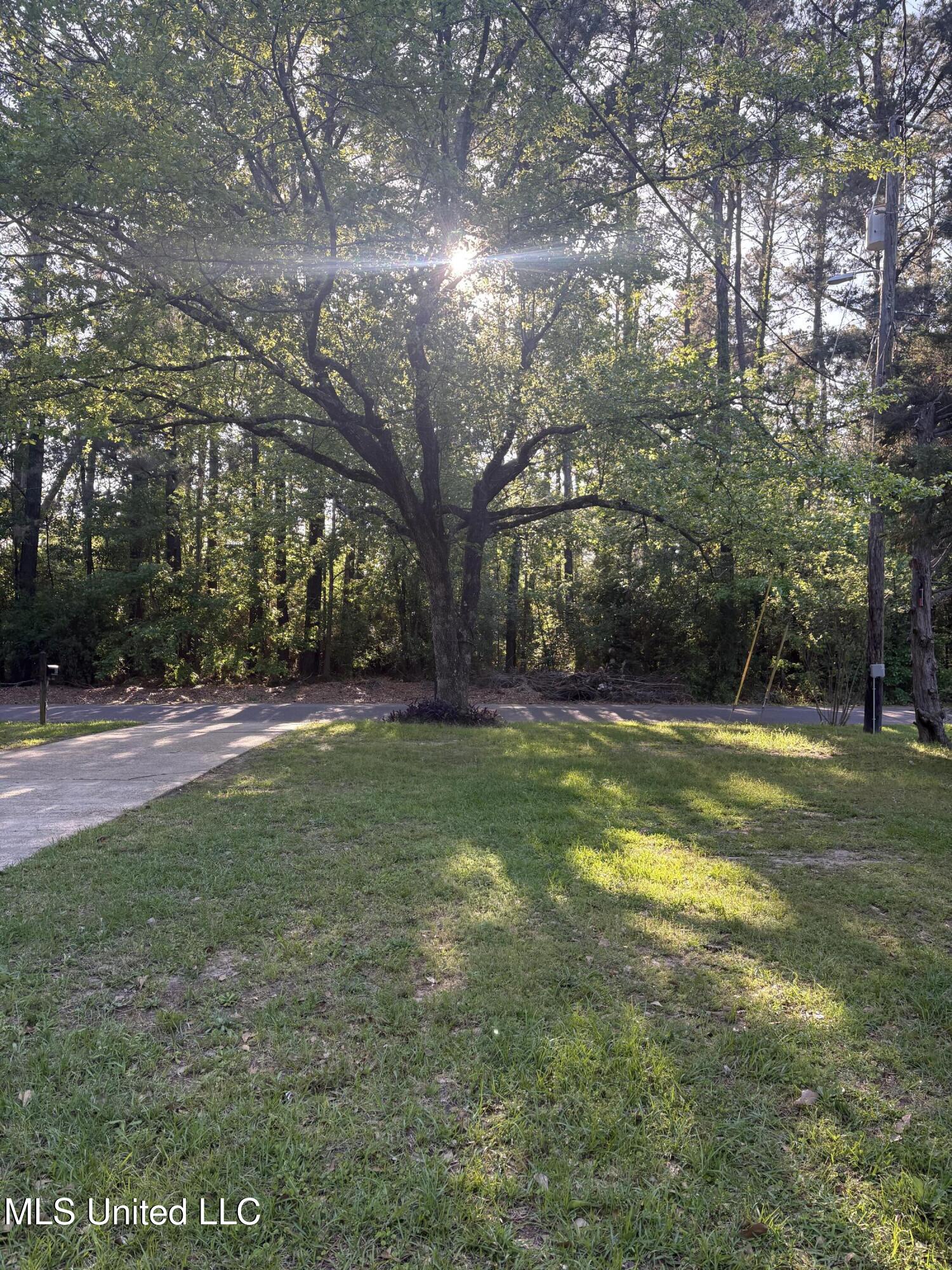 168 Richland Drive, Lucedale, Mississippi image 22