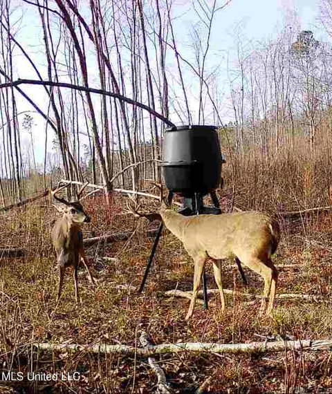 Vacant Land For Sale - County Road 1115<br/> Kosciusko, MS 39090