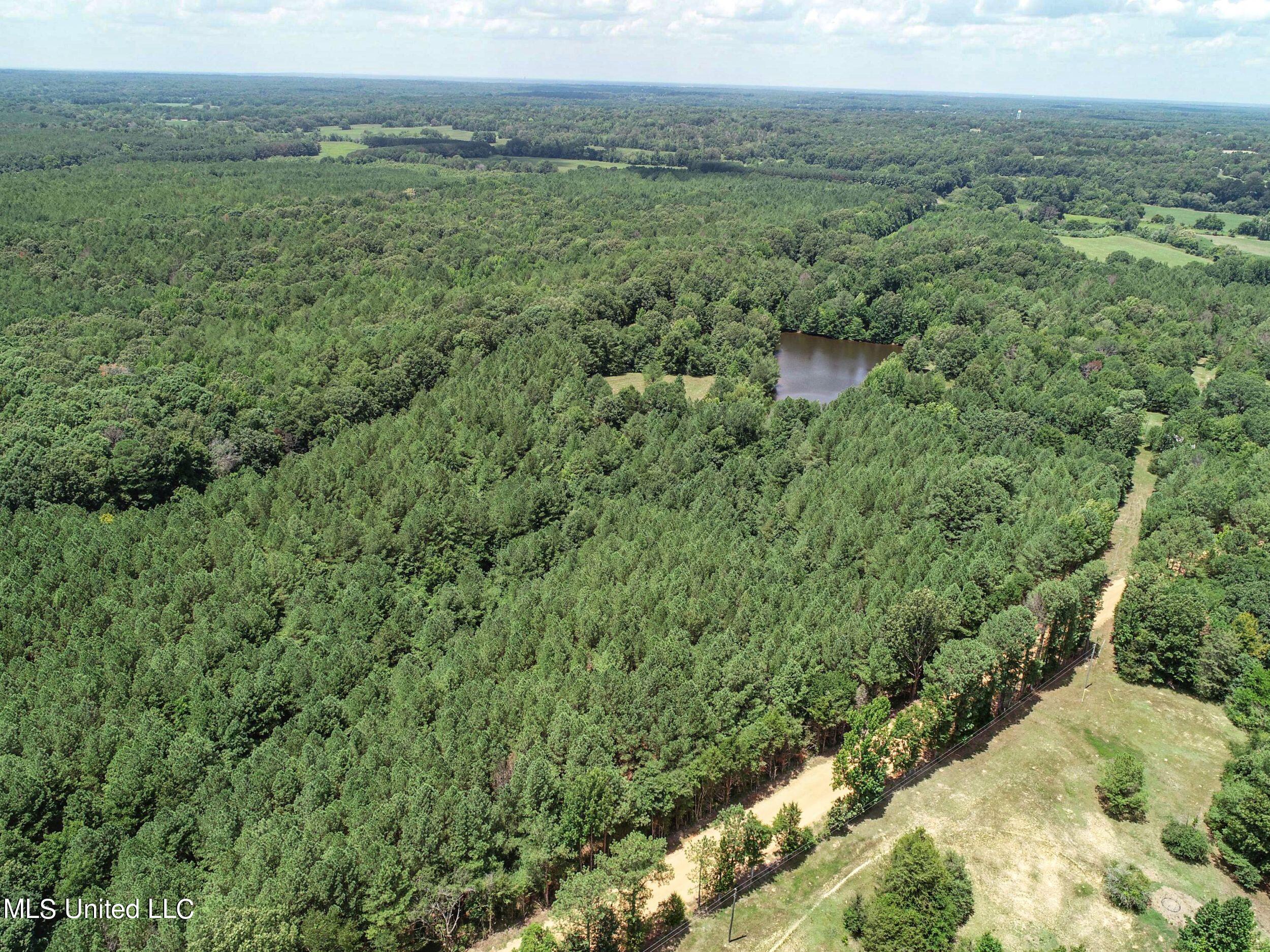 Hubbard Road, Courtland, Mississippi image 16