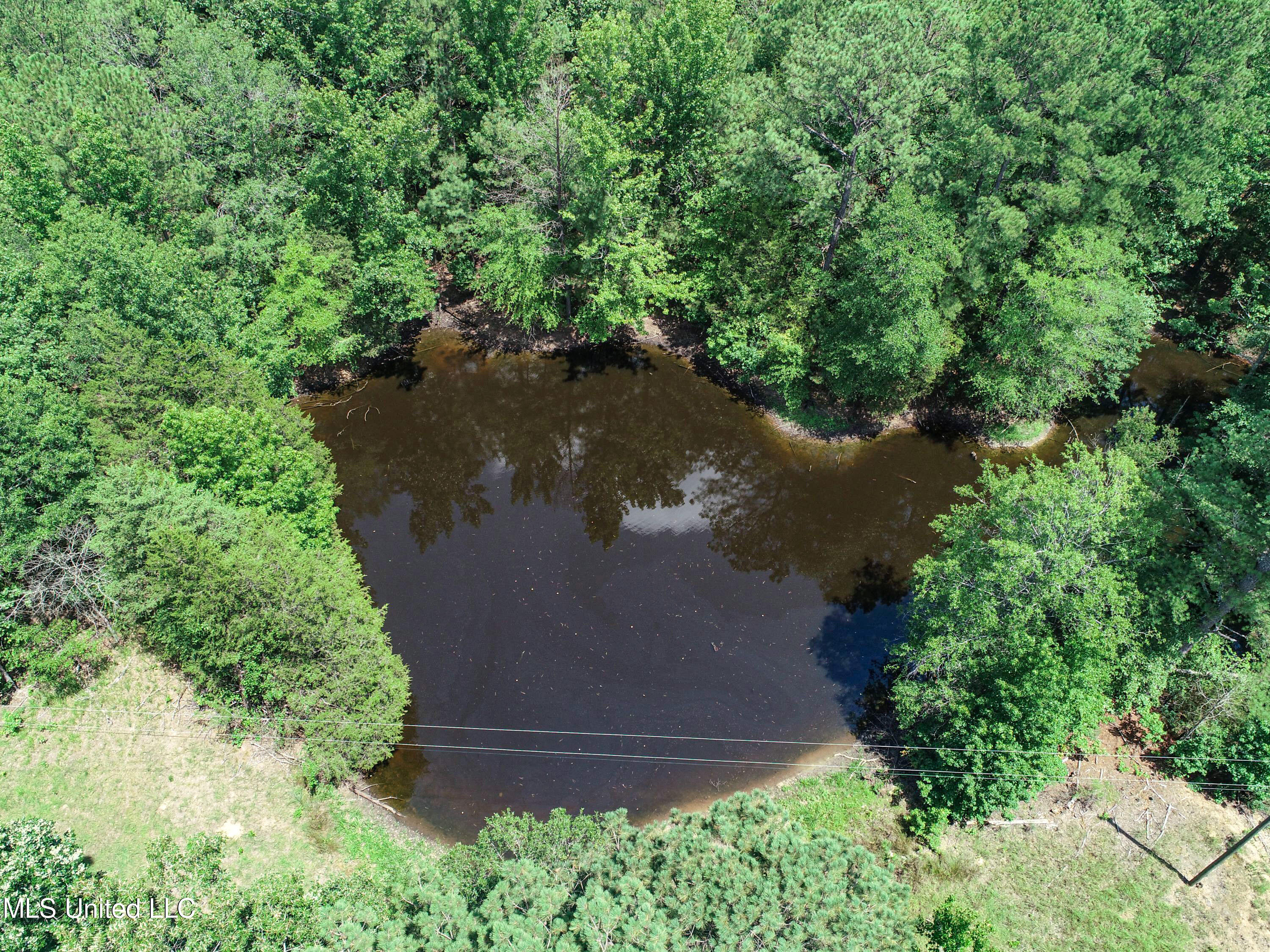 Hubbard Road, Courtland, Mississippi image 47