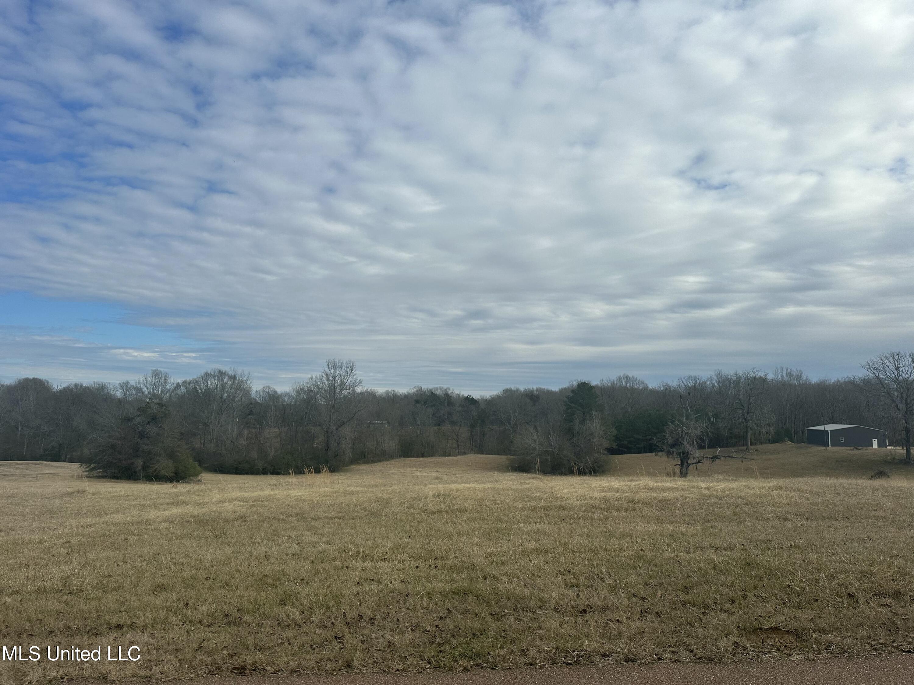 Meadow Oaks Lane, Clinton, Mississippi image 4