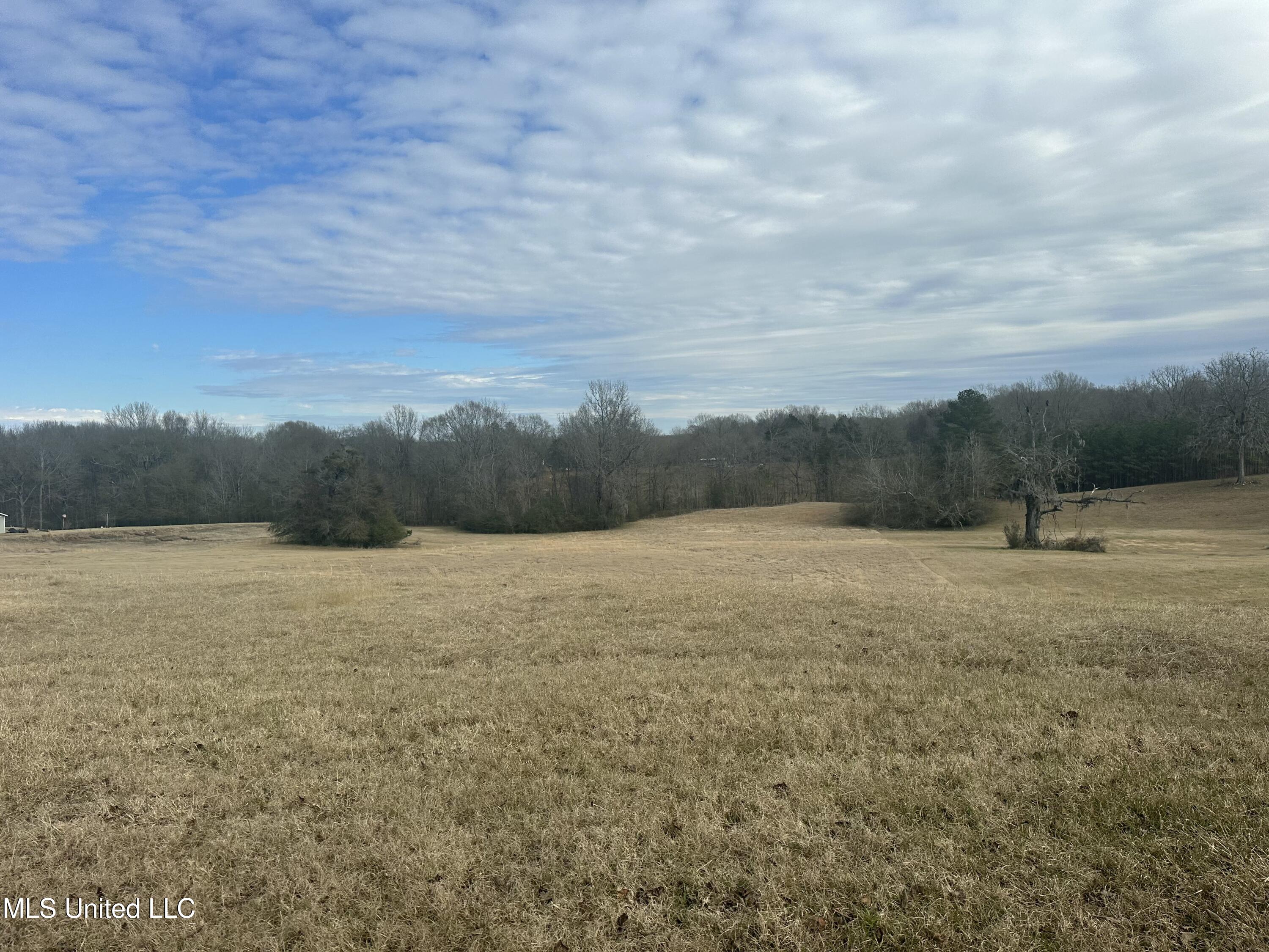 Meadow Oaks Lane, Clinton, Mississippi image 3