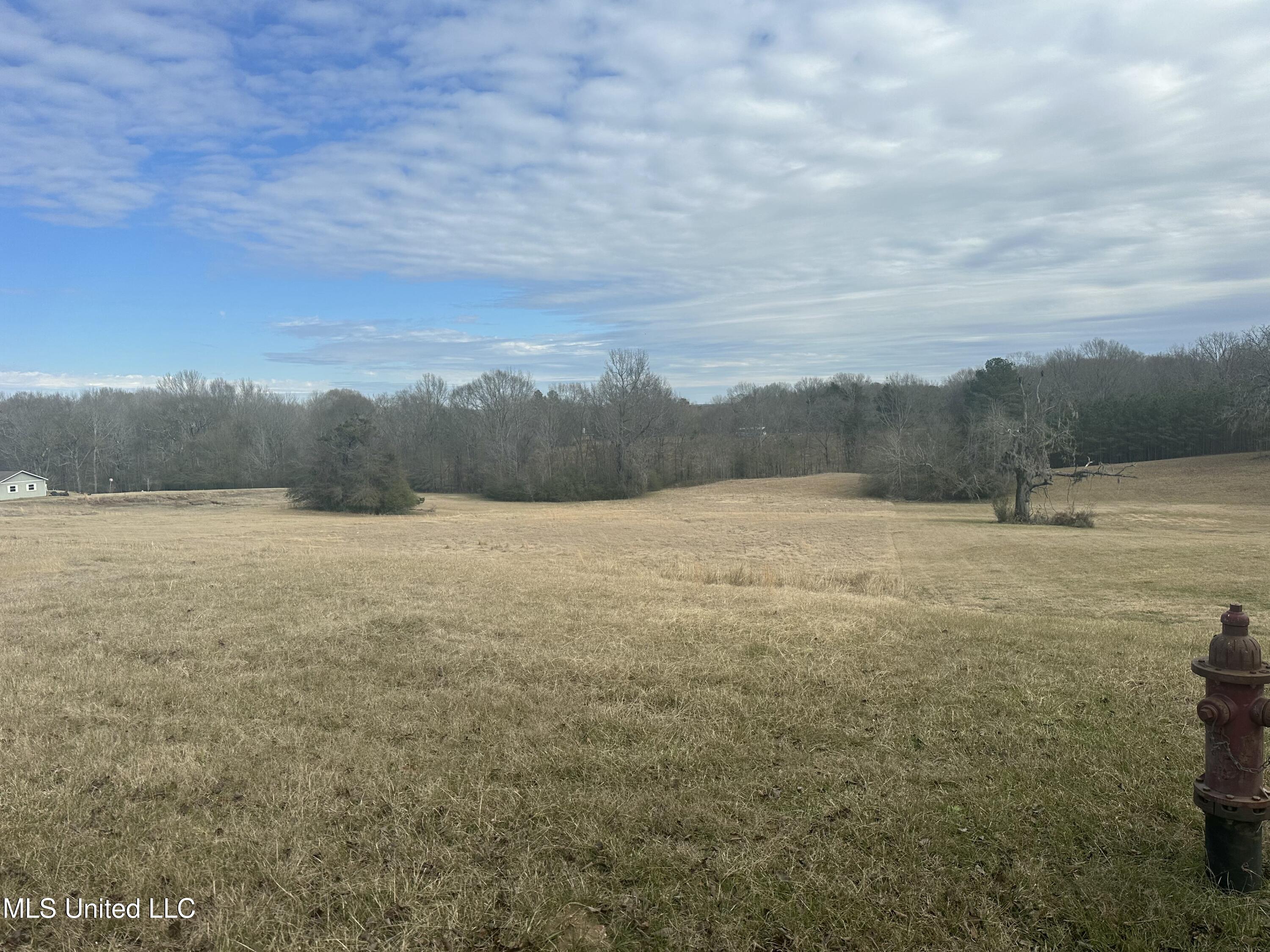 Meadow Oaks Lane, Clinton, Mississippi image 1