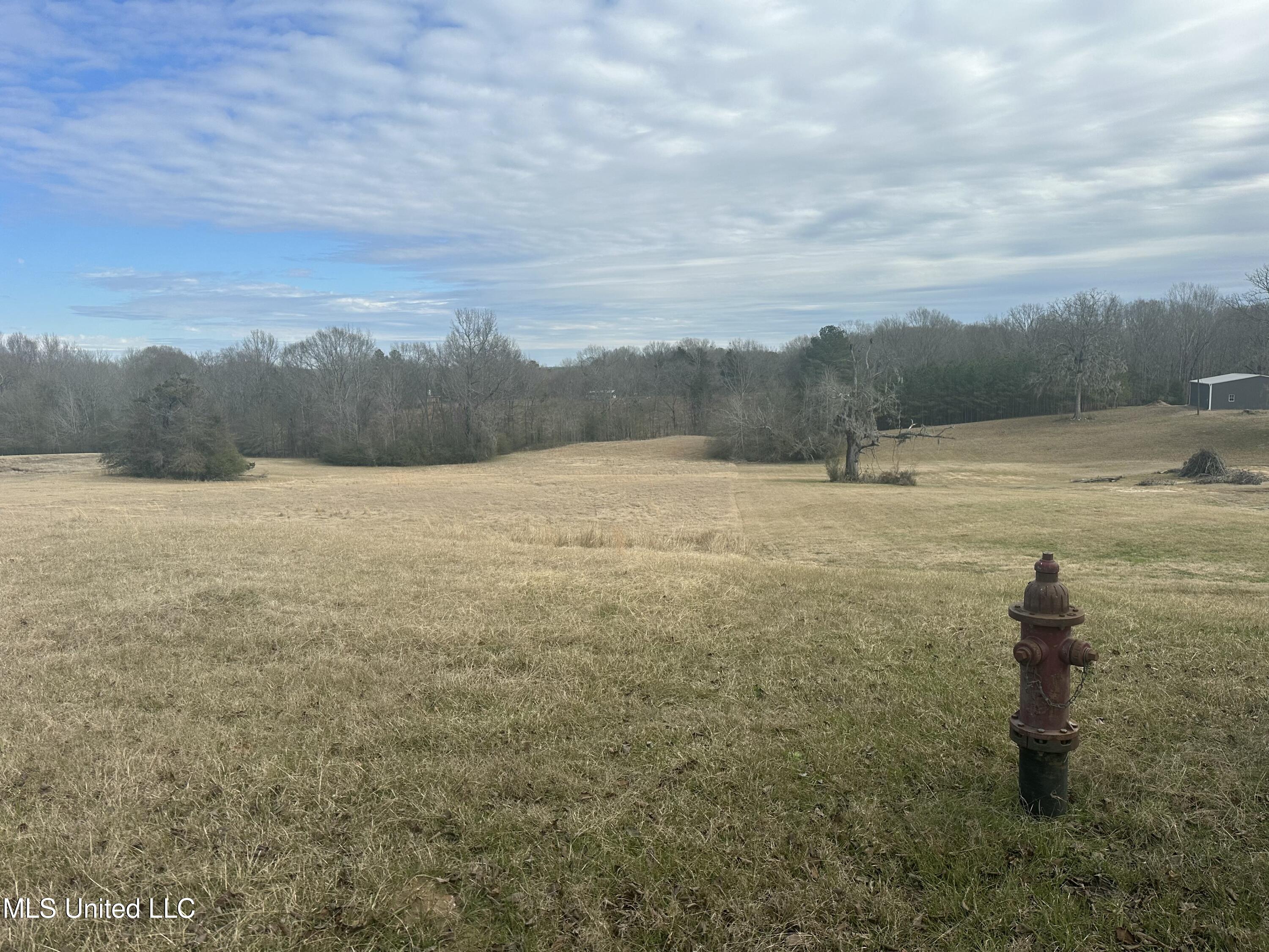 Meadow Oaks Lane, Clinton, Mississippi image 2