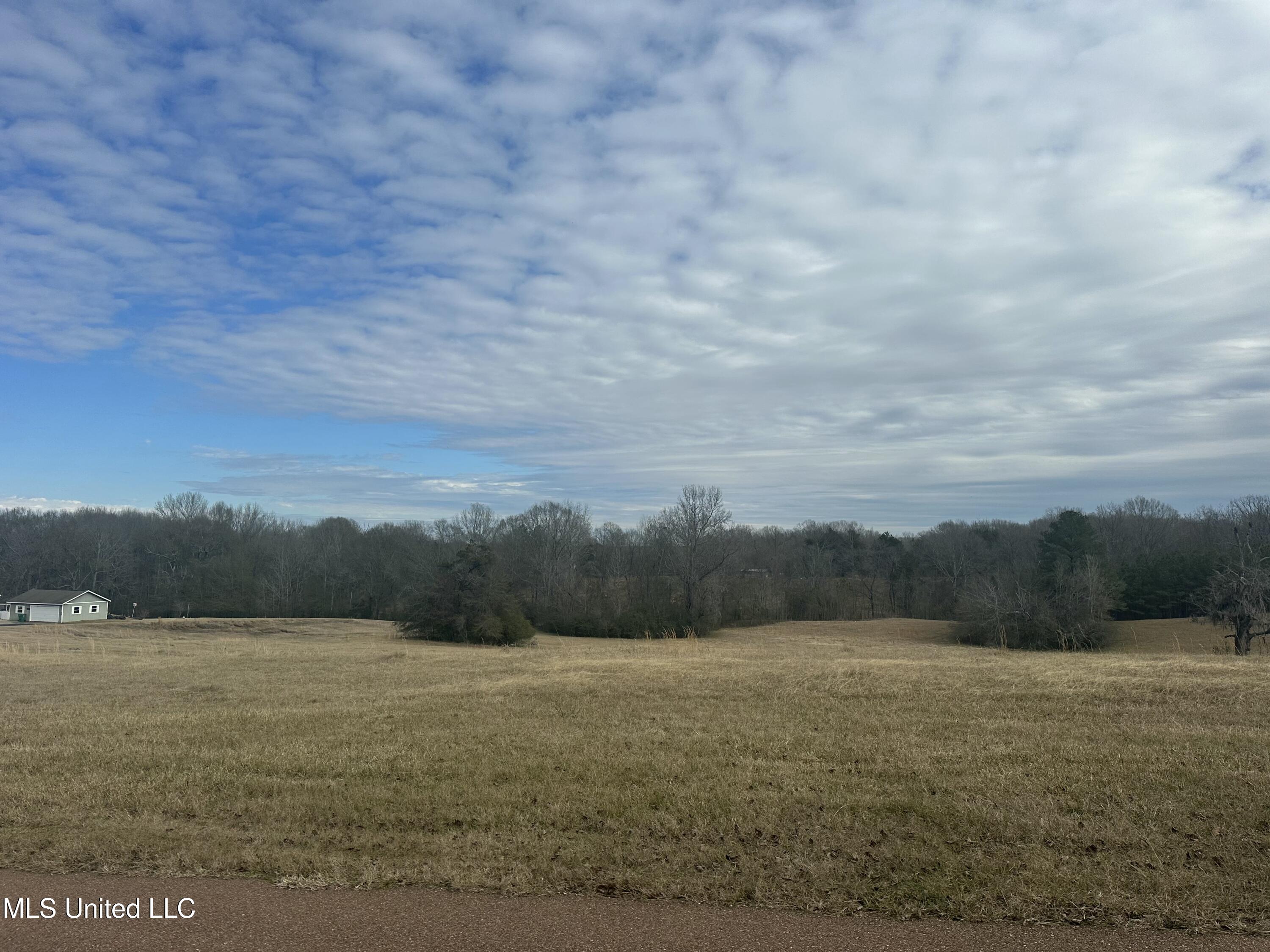 Meadow Oaks Lane, Clinton, Mississippi image 5