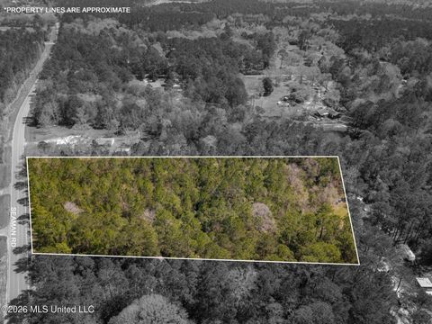 Vacant Land For Sale - 00 Seaman Road<br/> Jackson County, Vancleave, MS 39565