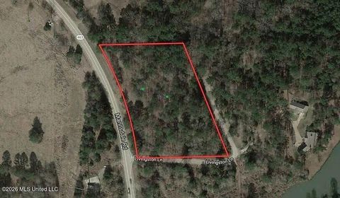 Vacant Land For Sale - Highway 463<br/> Madison County, Madison, MS 39110